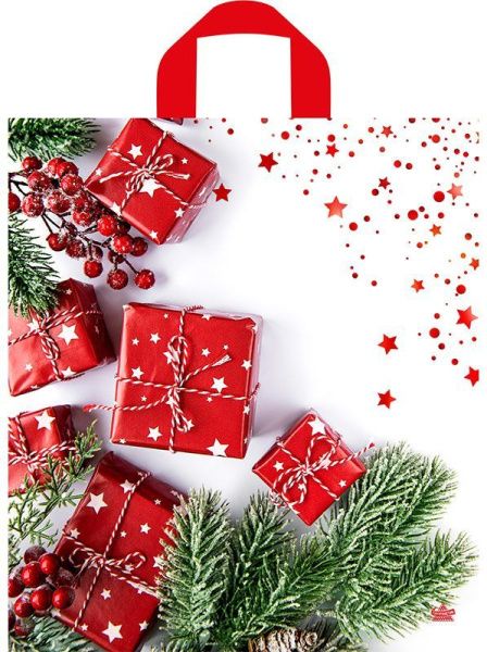 пакет петл. 42х38 Время подарков НГ ШК